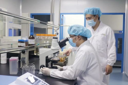 炼就一双慧眼,宝山环上大科技园如何实现 1 到 10 的更快突破