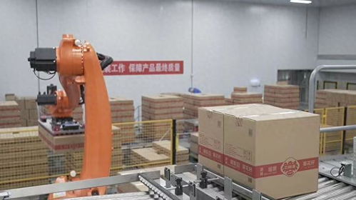 巴彦淖尔锻造向日葵全产业链